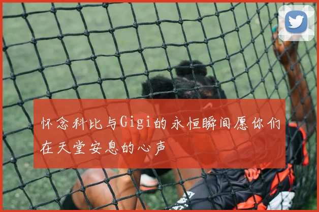 怀念科比与Gigi的永恒瞬间愿你们在天堂安息的心声