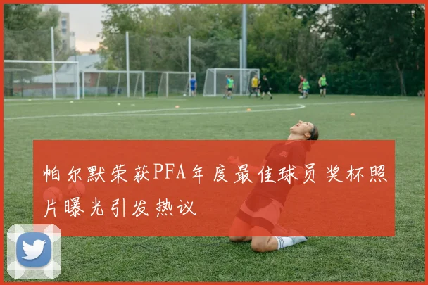 帕尔默荣获PFA年度最佳球员奖杯照片曝光引发热议