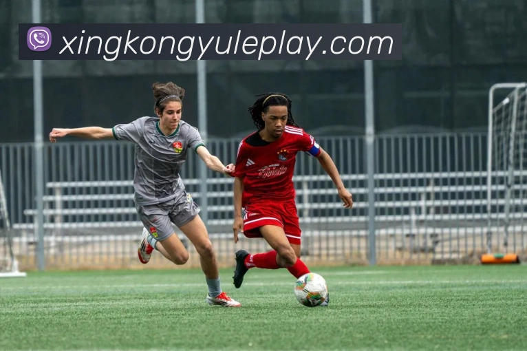 星空娱乐平台生态图