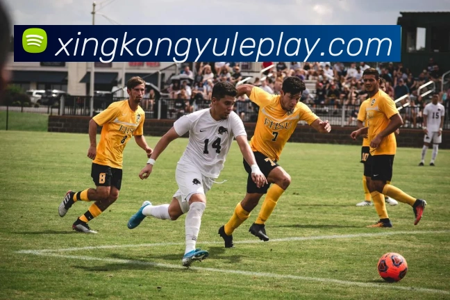 星空娱乐全站App